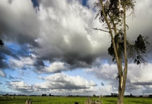 许永凯与金羽佳直落两局 晋级孟加拉国际羽毛球挑战赛混双半决赛.